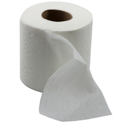 soft 2ply toilet roll 48 rolls per case - Robert Scott Hygiene