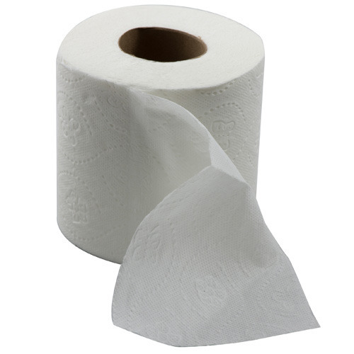 soft 2ply toilet roll 48 rolls per case - Robert Scott Hygiene